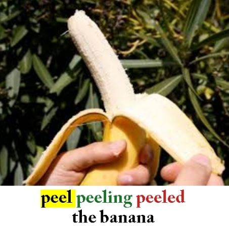 Peel